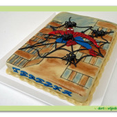 114. Dort s dekorem Spider man ve městě