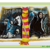 423. Kniha kouzel Harry Pottera